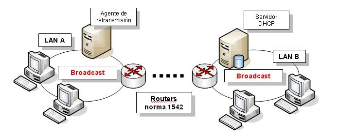 ¿Cómo funciona el DHCP?