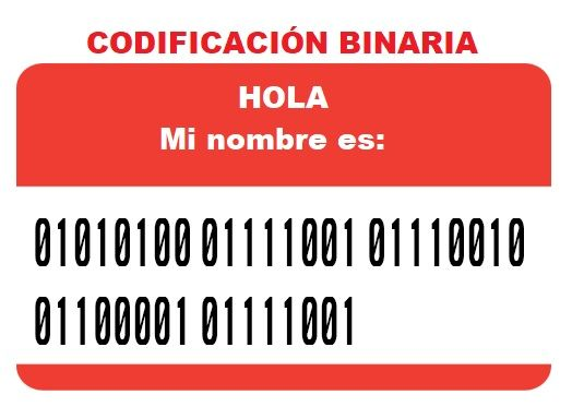 ¿Cómo se pueden utilizar los códigos binarios para la protección de datos?