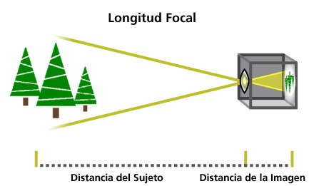 ¿Para qué sirve una lente?